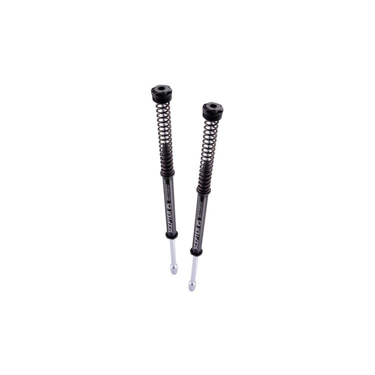 RacingBros Scepter Fork Cartridge Kit STD For Harley Sportster 96-15 39mm