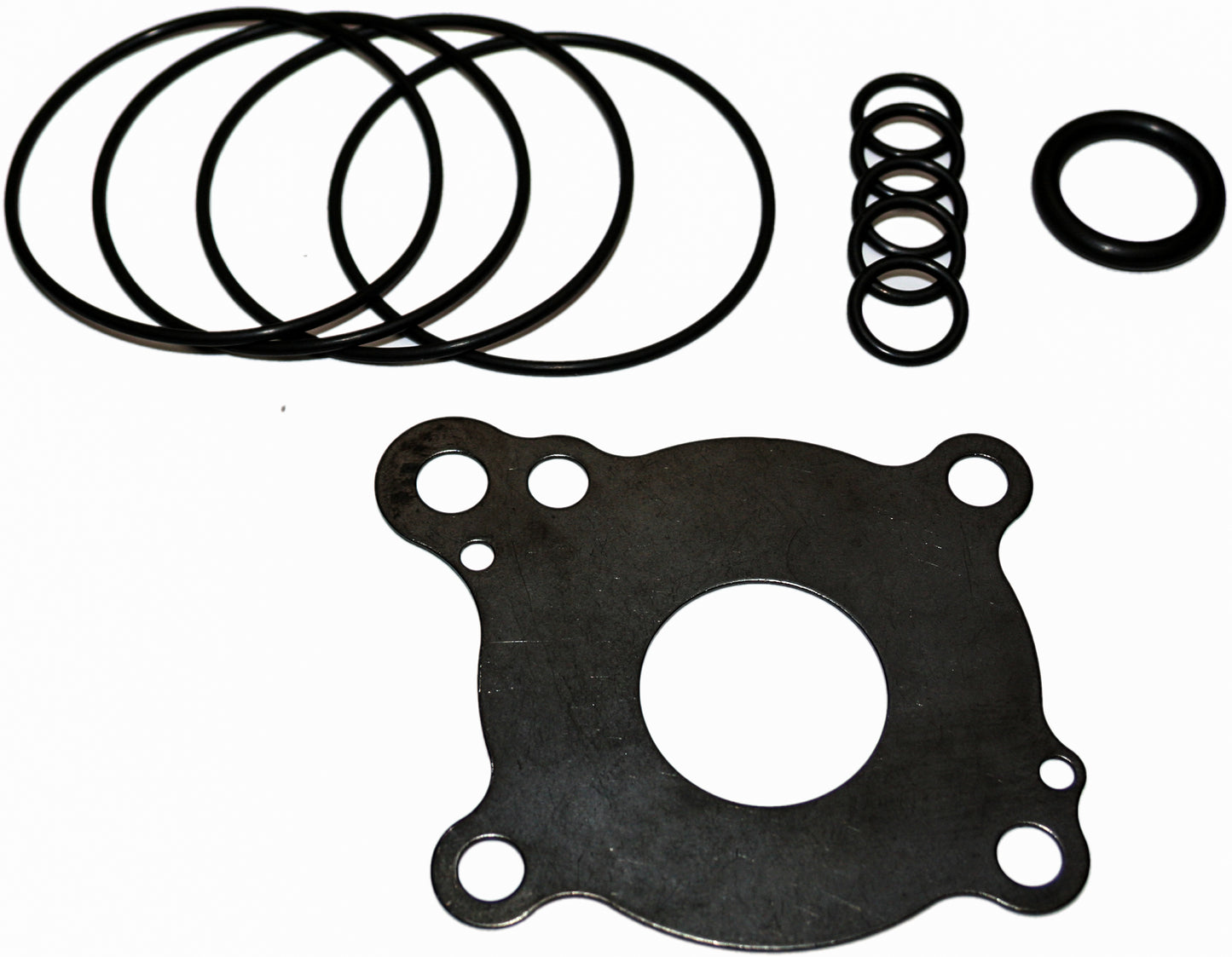 Oil Pump Rebuild Kit
