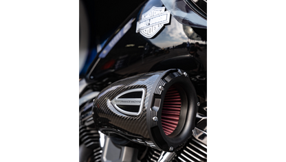 1010-3273  Series Carbon Fiber Air Cleaner Kit