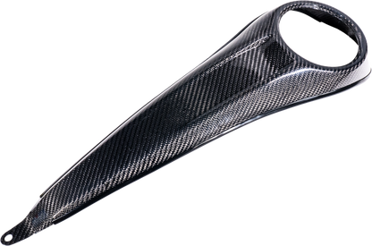 HOFMANN DESIGNS - CARBON FIBER DASH FLH/FLT 23-25 (EX FLHR) - HDCF-6032